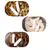 ZenPets Bâtonnets déshydratants alimentaires ZenPets Bâtonnets déshydratants alimentaires