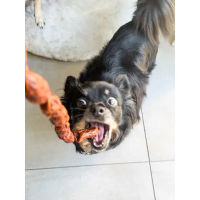 TRUFFE DÉLICE Saucisses chien cerf TRUFFE DÉLICE Saucisses chien cerf