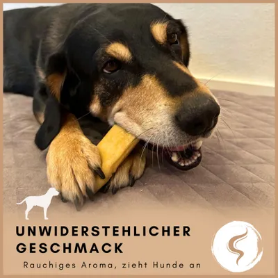 Supravit Yak Kaukäse für Hunde  100% Natürlich | Hart & Zäh |