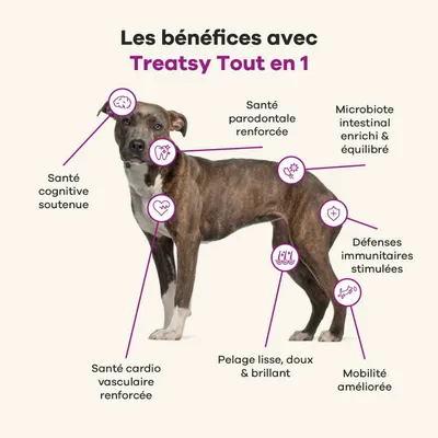 Treatsy Complément Alimentaire - Tout en 1 pour chien