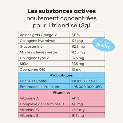 Treatsy Complément Alimentaire - Tout en 1 pour chien