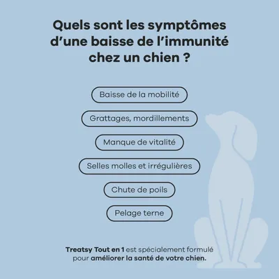 Treatsy Complément Alimentaire - Tout en 1 pour chien