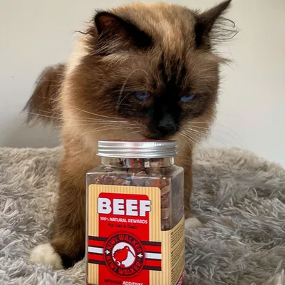 Kiwi Walker Friandises de travail