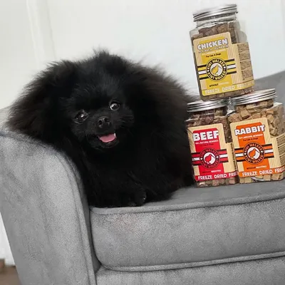 Kiwi Walker Friandises de travail