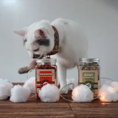 Kiwi Walker Friandises de travail