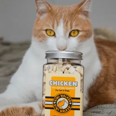 Kiwi Walker Friandises de travail