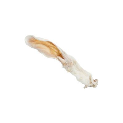Oreille de lapin avec poils