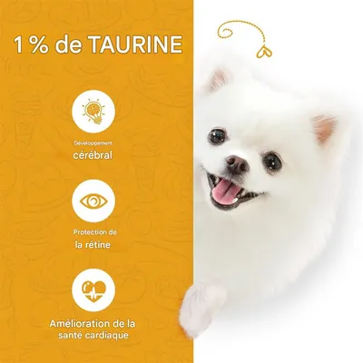 IntiMeg Poulet séché naturel avec taurine