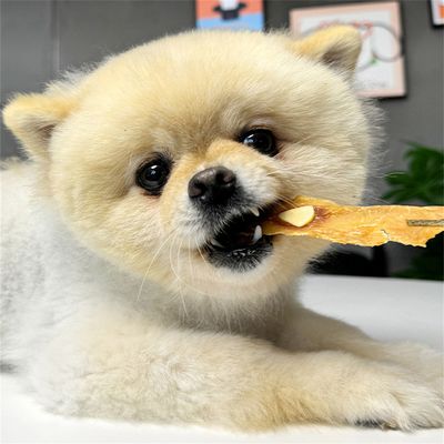 ZenPets Collations Jerky Flakes pour chien