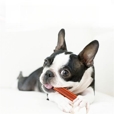 IntiMeg Os à ronger pour chiens