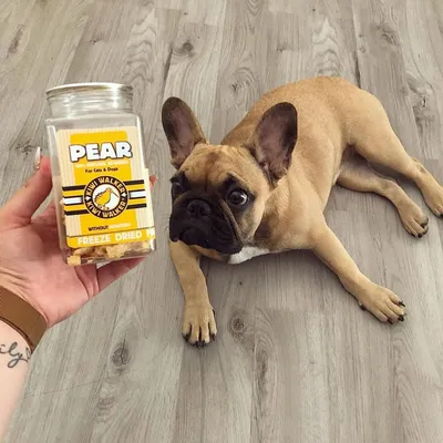 Kiwi Walker Friandises de travail