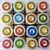 Kiwi Walker Friandises de travail