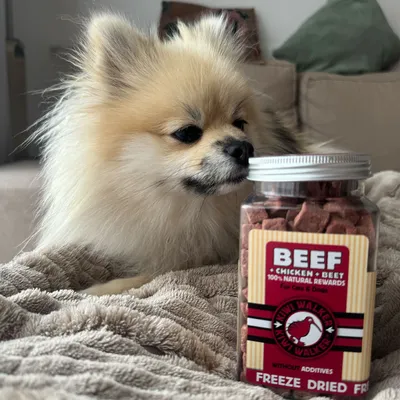 Kiwi Walker Friandises de travail