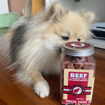 Kiwi Walker Friandises de travail