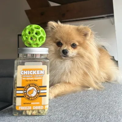 Kiwi Walker Friandises de travail