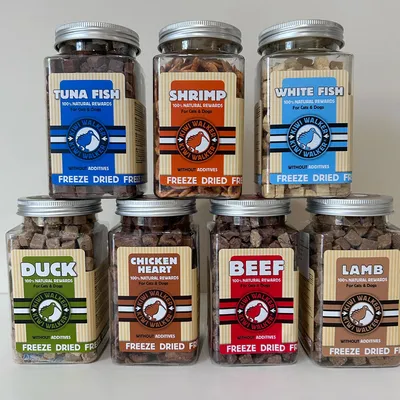 Kiwi Walker Friandises de travail