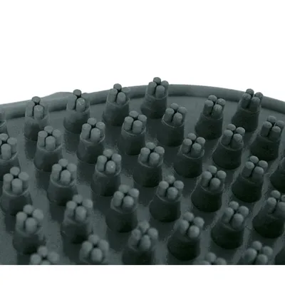 zolux - Brosse ramasse poils pour textiles