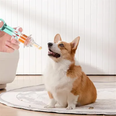 IntiMeg Kit d'alimentation pour petits animaux