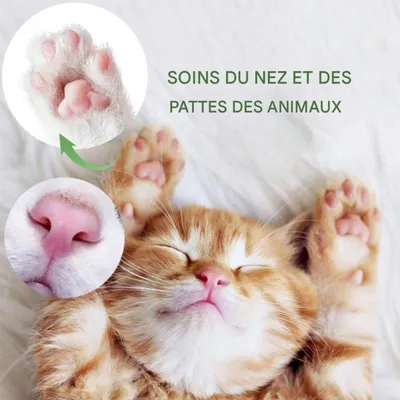 IntiMeg Crème de soin des pattes d'animaux