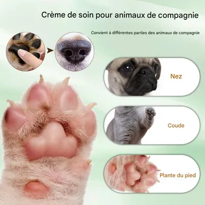 IntiMeg Crème de soin des pattes d'animaux