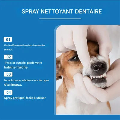 IntiMeg Spray pour rafraîchir l'haleine des animaux de compagnie