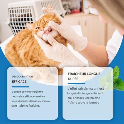 IntiMeg Spray pour rafraîchir l'haleine des animaux de compagnie