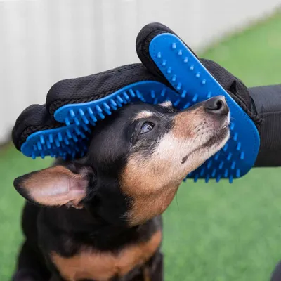 WELLHOME Kit d'entretien du plastique et du métal