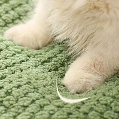 IntiMeg  Lit Niche pour Animaux de Compagnie d’Intérieur
