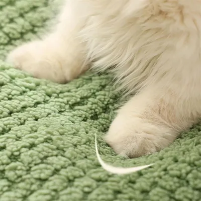 IntiMeg  Lit Niche pour Animaux de Compagnie d’Intérieur