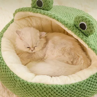 IntiMeg  Lit Niche pour Animaux de Compagnie d’Intérieur