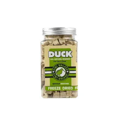 Kiwi Walker Friandises de travail
