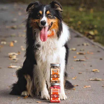 Kiwi Walker Friandises de travail