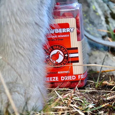 Kiwi Walker Friandises de travail