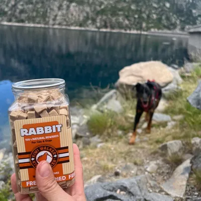 Kiwi Walker Friandises de travail