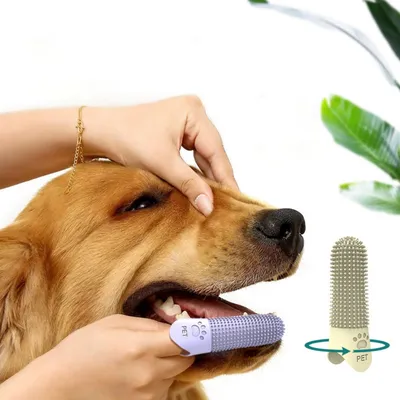 IntiMeg Cepillo de dientes de silicona para perros
