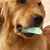 IntiMeg Brosse à dents en silicone pour chien