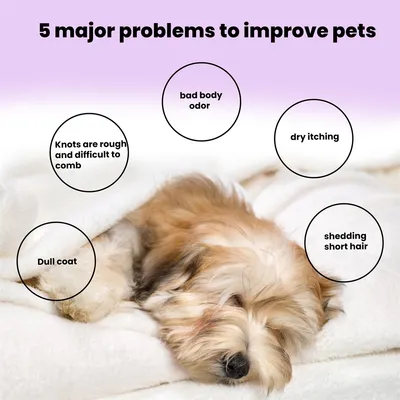 ZenPets Comprimés effervescents nettoyants