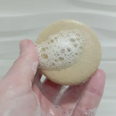 Mon Némée Boîte + Shampoing Solide pour Chiens