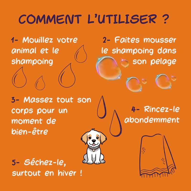 Mon Némée Boîte + Shampoing Solide pour Chiens
