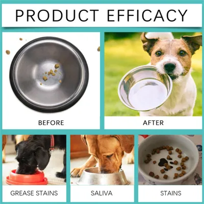 ZenPets Mousse nettoyante pour bols à animaux