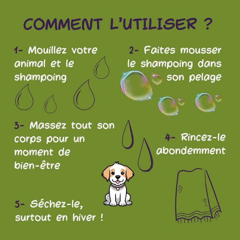 Mon Némée Boîte + Shampoing Solide pour Chiens