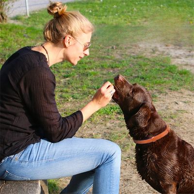 IntiMeg Collar calmante para perros