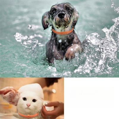 IntiMeg Collar calmante para perros