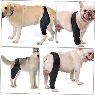 ZenPets Protections pour les pattes de chien