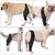 ZenPets Protections pour les pattes de chien