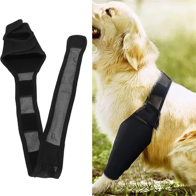 ZenPets Protections pour les pattes de chien