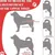 ZenPets Protections pour les pattes de chien