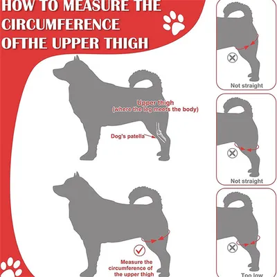 ZenPets Protections pour les pattes de chien