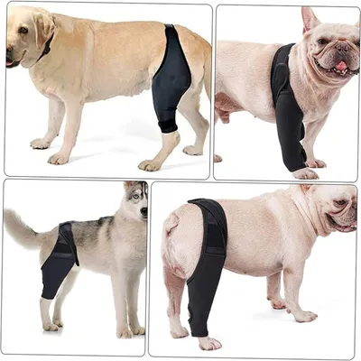 ZenPets Protections pour les pattes de chien