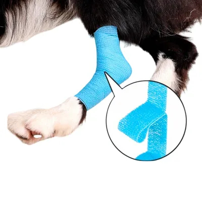 ZenPets Bandage de protection autocollant pour chien ZenPets Bandage de protection autocollant pour chien